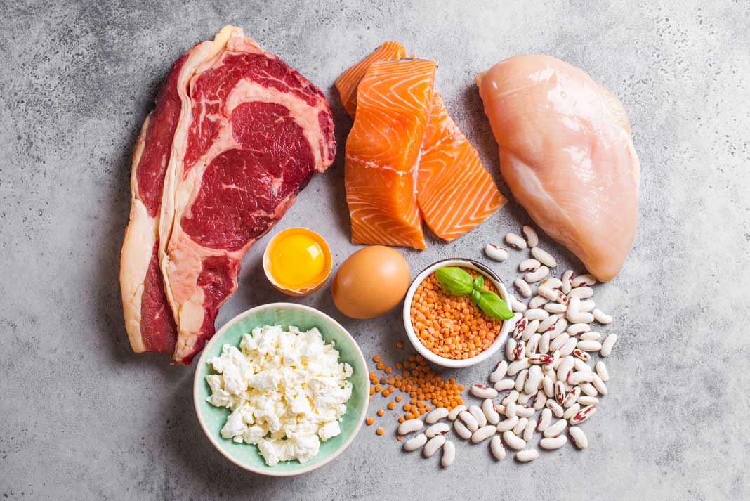 Is Protein the Best for Muscle Gain - California Pretty Magazine